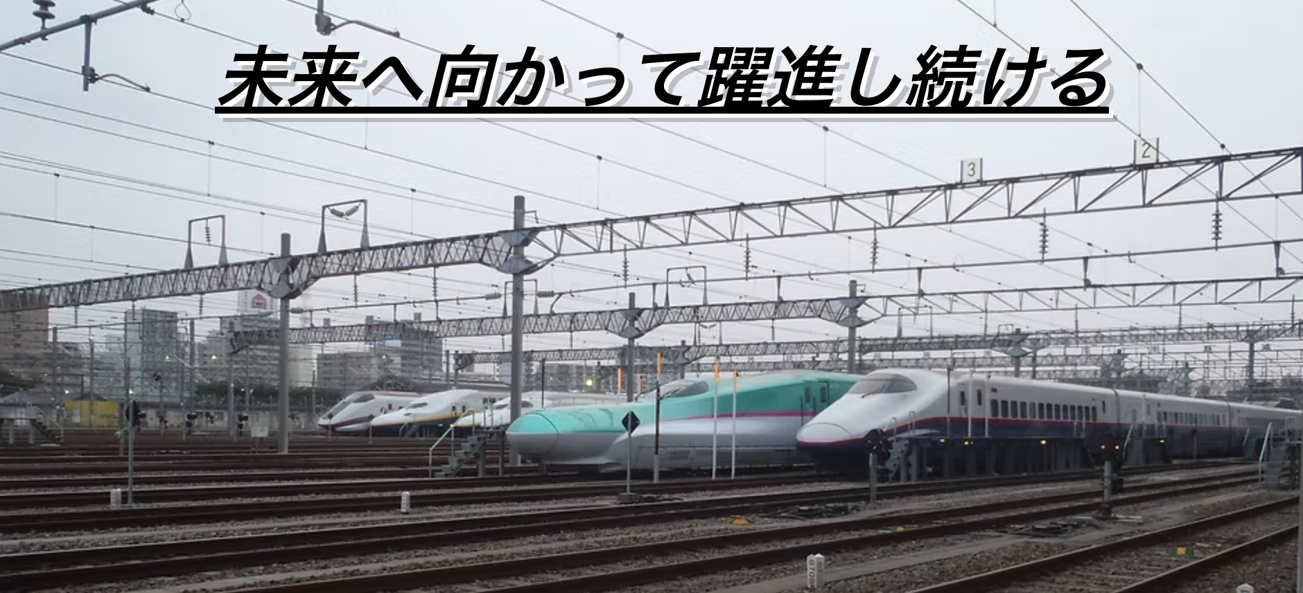 有限会社青信工業